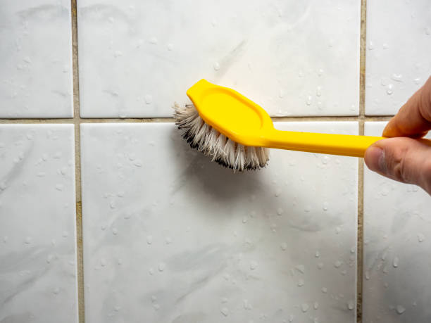 Best Toxic Mold Removal  in Taylorsville, MS